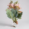 Butter cup flower bunch 2