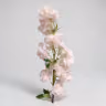 Blossom hangins flower white 3