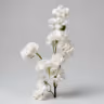 Blossom hangins flower white 1