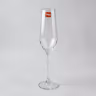 Glass wine 10 inch 2