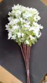 Bougainvillea long bunch white 3