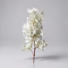 Bougainvillea long bunch white 1