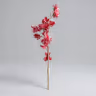 Aron bloom long bunch Red 1