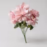 American Dahlia.Bunch 2