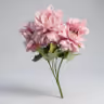 American Dahlia.Bunch 3