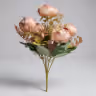 Victoria peony bunch 3