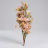 Butterfly long bunch peach 2