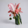 Boat orchid bunch rose 3
