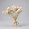 Boho flower 2