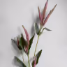 Beronikka pink 3