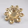 Lotus urali small 3 12 inch 2
