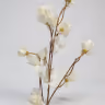 Aron bloom long bunch white 2