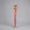 Acalypha hispida 1
