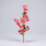 Bougainville stick magenta 3