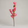 Bougainville stick magenta 1