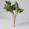 Ashray leaf bunch 1