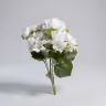 Beijing Hydra bush white 2