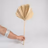 Boho item big leaf 2