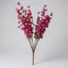 Blossom dark pink 2