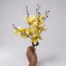 Butterfly orchid 3