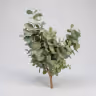 Blue Dollar wave bunch 3