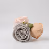 Cabbage rose mixed 2