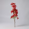 Bougainvillea long bunch red 2