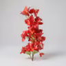 Bougainvillea long bunch red 1