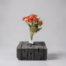 Button blossom bunch red 1