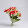 Button blossom bunch red 2
