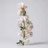 Blossom hangins peach lite 1