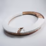 Ring light  10 ft 2