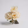 Bada peony bunch white 1