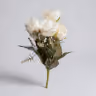 Bada peony bunch white 3