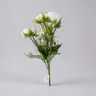Baby peony bunch white 2