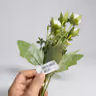 Baby peony bunch white 3