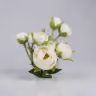 Baby peony bunch white 1