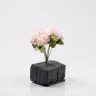 Beijing Hydra Bush bunch peach 2
