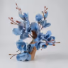 Blue orchid 2