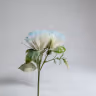 Blue flower 1