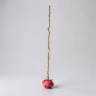 Hangings old white 2 ft 2